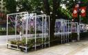 草月花Avenue2002 1